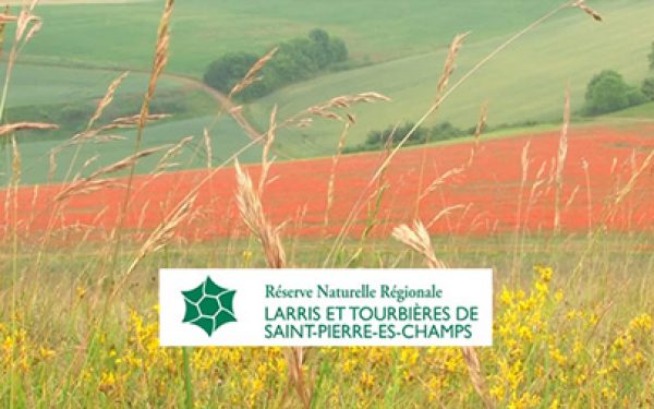 La réserve naturelle régionale de St Pierre ès champs